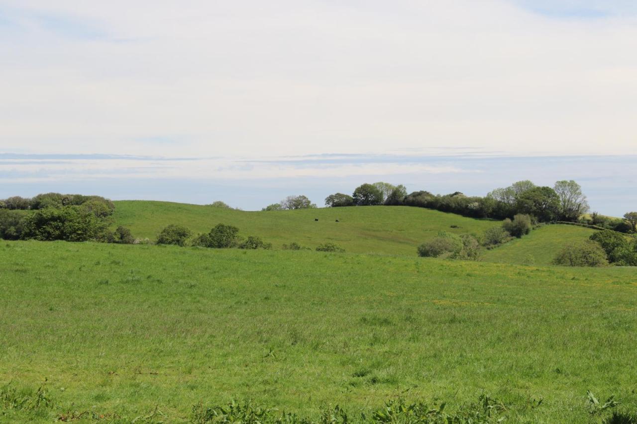 Farm Glamping 2 Corscombe