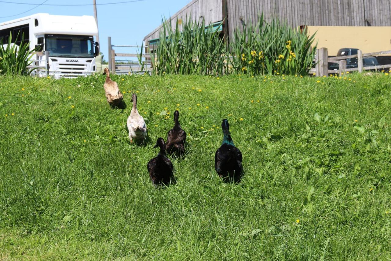 Farm Glamping 2 Campsite *